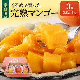 【ふるさと納税】【2026年6月以降お届け】先行予約 家庭用 くるめで育った 完熟マンゴー 3個 約 0.8kg ～ 1kg 糖度 17度 ～ 18度 甘い とろける 子供も安心 完熟 トロピカル フルーツ 果物 マンゴー 国産 クール便 倉重農園 地植栽培 お取り寄せ 福岡県 久留米市 送料無料