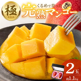 【ふるさと納税】【2026年6月以降お届け】完熟マンゴー 2玉 約 1.1kg 久留米産 平均糖度 17度～18度 完熟 マンゴー 国産 フルーツ トロピカルフルーツ 果物 デザート 冷蔵 クール便 お取り寄せ お取り寄せフルーツ 福岡県 久留米市 送料無料
