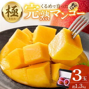 yӂ邳Ɣ[Łzy2026N6ȍ~͂zn}S[ 3  1.3kg vĎY ϓx 17x`18x n }S[ Y t[c gsJt[c ʕ fU[g ① N[  
