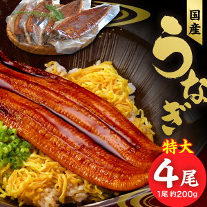 yӂ邳Ɣ[ŁzȂ  200g × 4 v800g  Ǝ `̃^ R t Ⓚ Ș ȏd Ђ܂Ԃ yY Mtg 蕨 Y Hi Hו  vĎs  