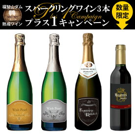 【ふるさと納税】【選べるセット】【数量限定1本追加】福智山ダム熟成 スパークリングワイン 3本詰め合わせセット or スパークリングワイン 3本詰め合わせセット+イタリア産赤ワイン 375ml 14000円 FD323 ワイン 各750ml 福岡県 直方市 常温 送料無料
