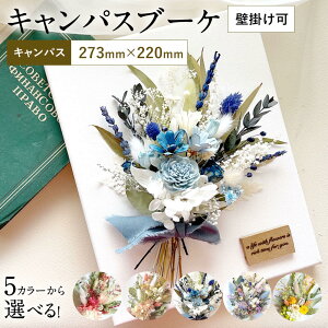 yӂ邳Ɣ[ŁzIׂ J[ʂ LpX u[P 1_ Ǌ| LpXF273mm×220mm hCt[ bhsN sNx[W u[zCg Cgu[p[v