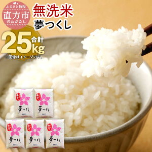 yӂ邳Ɣ[Łzyߘa6NYzY  yāz v25kg 5kg×5      25L BY Y  yVX[p[SALE 9J