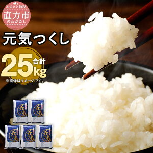 yӂ邳Ɣ[Łzyߘa6NYzY C  v25kg 5kg×5      25L BY Y  yVX[p[SALE 9J