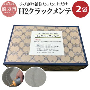 yӂ邳Ɣ[ŁzH2NbNe 500g×2 vʃJbvt { DIY ƒp z ȒP C NłȒP 
