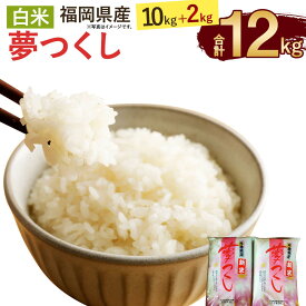 【ふるさと納税】令和5年産 福岡県産 夢つくし 10kg+2kg!! 【合計12kg】5kg×2袋 2kg×1袋 白米 お米 ご飯 精米 国産 九州産 直方市 送料無料