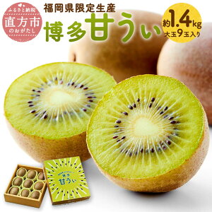 yӂ邳Ɣ[Łzy\zY Â 1.4kg 9ʓy2025N10{`11{\z1400g x16xO LECt[c LEC t[c ʕ B ①  yV