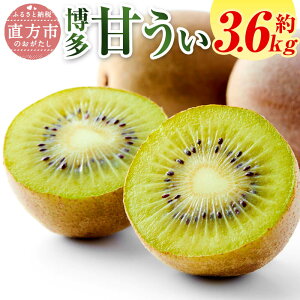 yӂ邳Ɣ[Łzy\z Y  Â v3.6kg 20ʁ`27ʓ y2025N10{`11{\z 萶Y x16xO LEC LECt[c ʕ t[c 