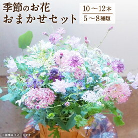 楽天市場 水切りかご 植物の本数10本 花束 切花 花 観葉植物 花 ガーデン Diyの通販 楽天市場 水切りかご 植物の本数10本 花束 切花 花 観葉植物 花 ガーデン Diyの通販