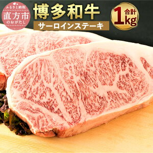 yӂ邳Ɣ[Łza T[CXe[LZbg v1kg 250g×4 A4ȏ  јa BY Y Y T[C Xe[L  a   Xe[L ϔ  