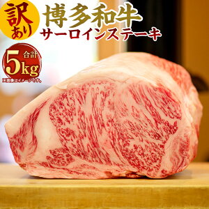 yӂ邳Ɣ[Łz󂠂Ia T[CXe[LZbg v5kg 250g×2 ×10pbN јa T[C Xe[L Y      Y BY Y Ⓚ 
