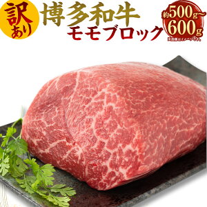 yӂ邳Ɣ[Łz󂠂Ia ubN 500g`600g [Xgr[tp јa  Y  ubN    [Xgr[t r[tV`[ J[ Y B