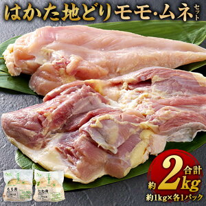 yӂ邳Ɣ[Łz͂nǂ ElZbg v2kg 1kg×e1pbN Y BY Y {      Ⓚ 