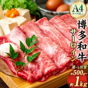 yӂ邳Ɣ[ŁzIׂeʁyIʁEA4Nȏza T[C ԂԁEĂp 500g×1pbNEv1kgi500g×2pbNj јa   XCX ₫ 