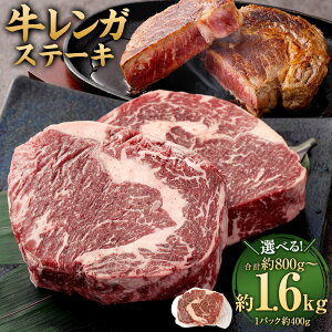 yӂ邳Ɣ[ŁzIׂeʁKXe[Li[Xj 1pbN400g 2pbN 3pbN 4pbN v800g v1.2kg v1.6kg   u[X ؂ ~bNXhXpCXt Ⓚ  