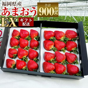 yӂ邳Ɣ[Łzy\zMtgz Y ܂ EX v900g 450g×2pbN ʍ͔| y2026N1{`3{\z    C`S t[c ʕ fU[g XC