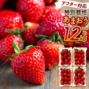 yӂ邳Ɣ[Łz\񁄁yAt^[Ήzʍ͔| ܂ v1.2kg 300g×4pbN y2026N1{`3{\z Y  ʕ t[c  C`S BY Y Iׂ锭
