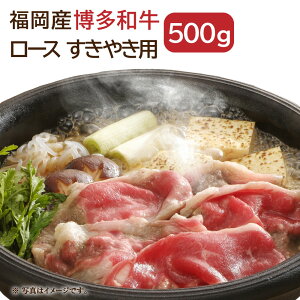 yӂ邳Ɣ[Łza [X ₫p 500g Y Y a   Ⓚ  s  yVX[p[SALE 9J