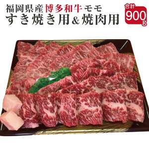 yӂ邳Ɣ[Łza ĂpƏēpZbg v900g Ăp450g ēp450g Y BY Y a    Ⓚ  yVX[p[SALE 9J