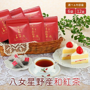 yӂ邳Ɣ[Łz_eʂIׂI^Yag10P 6 15  g ag  쒃 eB[ eB[obO