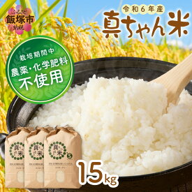 【ふるさと納税】【令和6年産】農薬・化学肥料不使用 真ちゃん米 15kg 【E2-006】