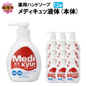 【ふるさと納税】薬用ハンドソープ メディキュッ 液体 本体 250ml×12本 【A-830】