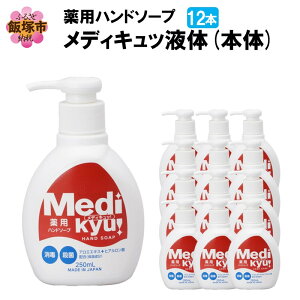 yӂ邳Ɣ[Łzpnh\[v fBLb t { 250ml×12{ yA-830z