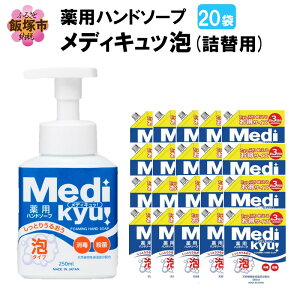 yӂ邳Ɣ[Łzpnh\[v fBLb A l֗p 580ml×20 yB-178z