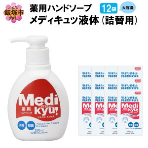 yӂ邳Ɣ[Łzpnh\[v fBLb t l֗p 1000ml×12 yB2-018z