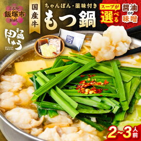 【ふるさと納税】＼スープ種類が選べる！／博多の名店「田しゅう」 国産牛もつ鍋セット 2～3人前 醤油味 味噌味 肉 牛 国産 もつ ホルモン もつ鍋 鍋 セット 詰め合わせ 冷凍