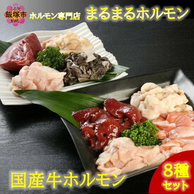 【ふるさと納税】ホルモン専門店の国産牛ホルモン8種セット！【D5-043】