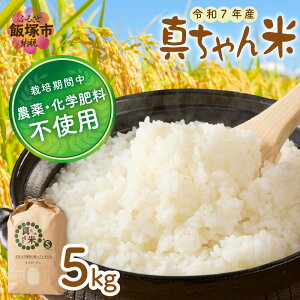 yӂ邳Ɣ[Łzr[Ly[{yߘa7NYz_Ew엿sgp ^ 5kg yB7-036zy20250303_2r[CPz