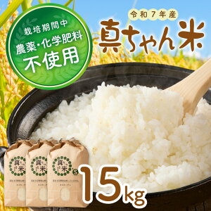 yӂ邳Ɣ[Łzyߘa7NYz_Ew엿sgp ^ 15kg yE4-008z