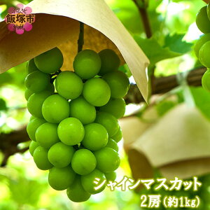 yӂ邳Ɣ[ŁzVC}XJbg2[(1kg)2026N8{甭Jns\񁄁yA7-070z