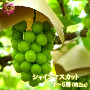 yӂ邳Ɣ[ŁzVC}XJbg4-6[(2kg)2026N8{甭Jns\񁄁yB6-028z