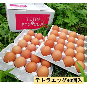 yӂ邳Ɣ[ŁzegGbO40 ܂  ʎq Z TKG ܂ egGbO yA5-459z