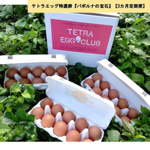 yӂ邳Ɣ[ŁzegGbOIwo{i̕΁xi30/jy3Jցz ܂  ʎq I egGbO  3 ђˎs yB9-009z