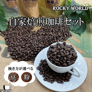 yӂ邳Ɣ[Łz_҂Iׂ^ROCKY WORLD  R[q[Zbg (150g×3) Zbg Zbg  R[q[  Zbg lߍ킹 ݔ }f O@e} IWi