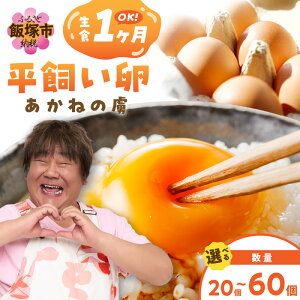 yӂ邳Ɣ[Łzr[Ly[{_IׂI^qr˂̗ 20`@ ђˎs ܂ 20 30 40 60   TKG ܂  ʎq Ă Ic