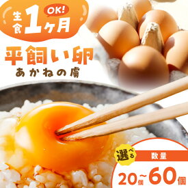 【ふるさと納税】＼個数が選べる！／〈平飼い卵〉あかねの虜 20個〜　 飯塚市 たまご 20個 30個 40個 60個 平飼い 福岡 TKG たまごかけ 卵 玉子 卵焼き オムレツ 卵かけごはん 卵料理 生卵 鶏卵 ふるさと納税 卵