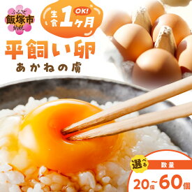【ふるさと納税】＼個数が選べる！／〈平飼い卵〉あかねの虜 20個〜　 飯塚市 たまご 20個 30個 40個 60個 平飼い 福岡 TKG たまごかけ 卵 玉子 卵焼き オムレツ 卵かけごはん 卵料理 生卵 鶏卵 ふるさと納税 卵