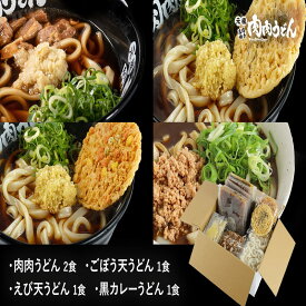 【ふるさと納税】冷凍 肉肉うどん2食・天ぷらうどん2食・黒カレーうどん1食 バラエティセット うどん 麺 肉肉うどん 天ぷら カレーうどん セット 飯塚 【A5-460】【1204レビューCP】