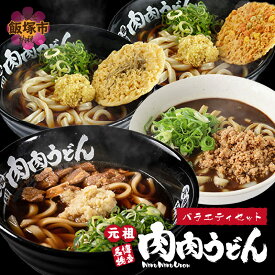 【ふるさと納税】冷凍 肉肉うどん2食・天ぷらうどん2食・黒カレーうどん1食 バラエティセット うどん 麺 肉肉うどん 天ぷら カレーうどん セット 飯塚 冷凍 送料無料 【A5-460】