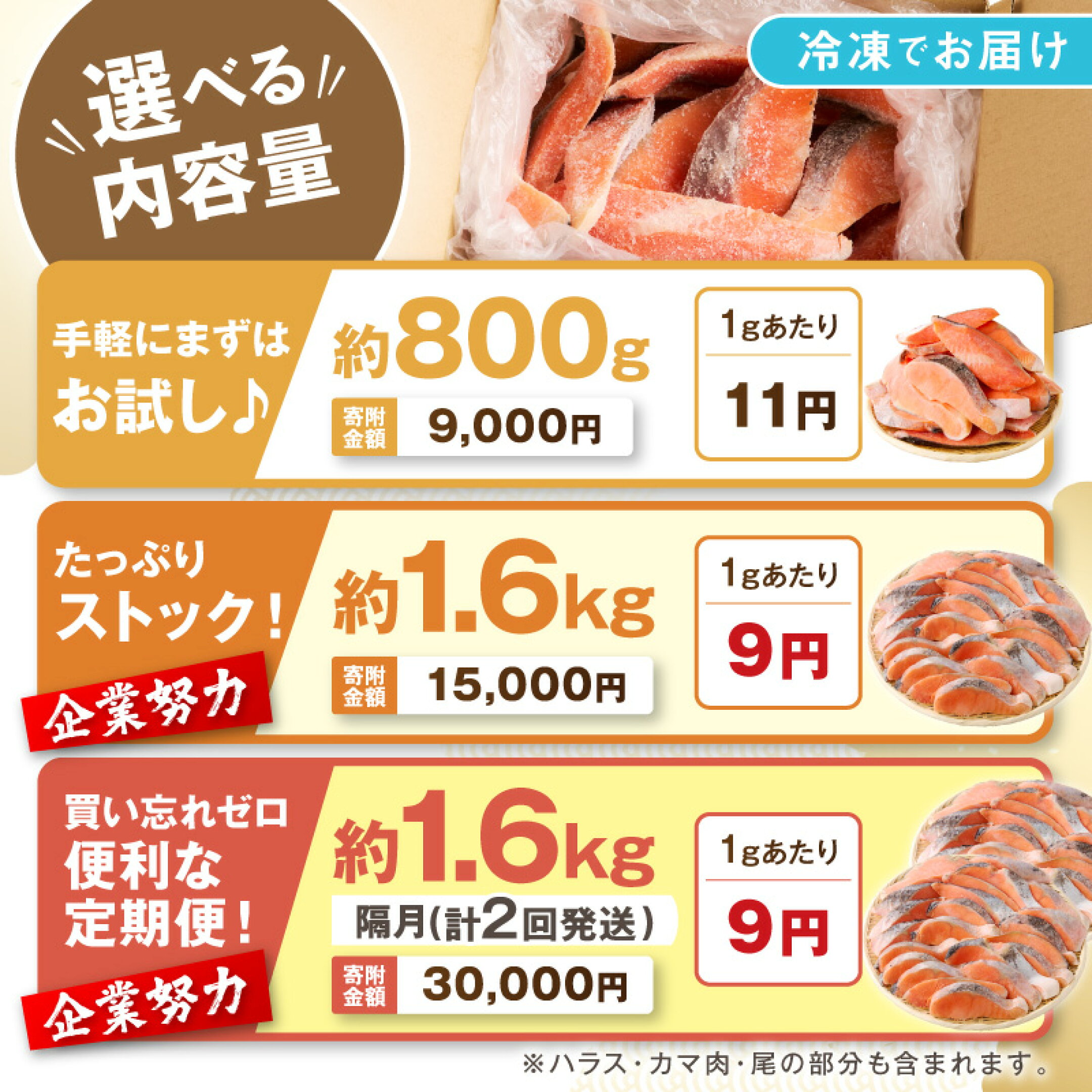 ふるさと納税 鮭 さけ サケ シャケ 銀鮭 塩銀鮭 切り身 切身 塩分控えめ  焼鮭 焼き 鮭 訳あり 魚 魚介 冷凍 ご飯にあう