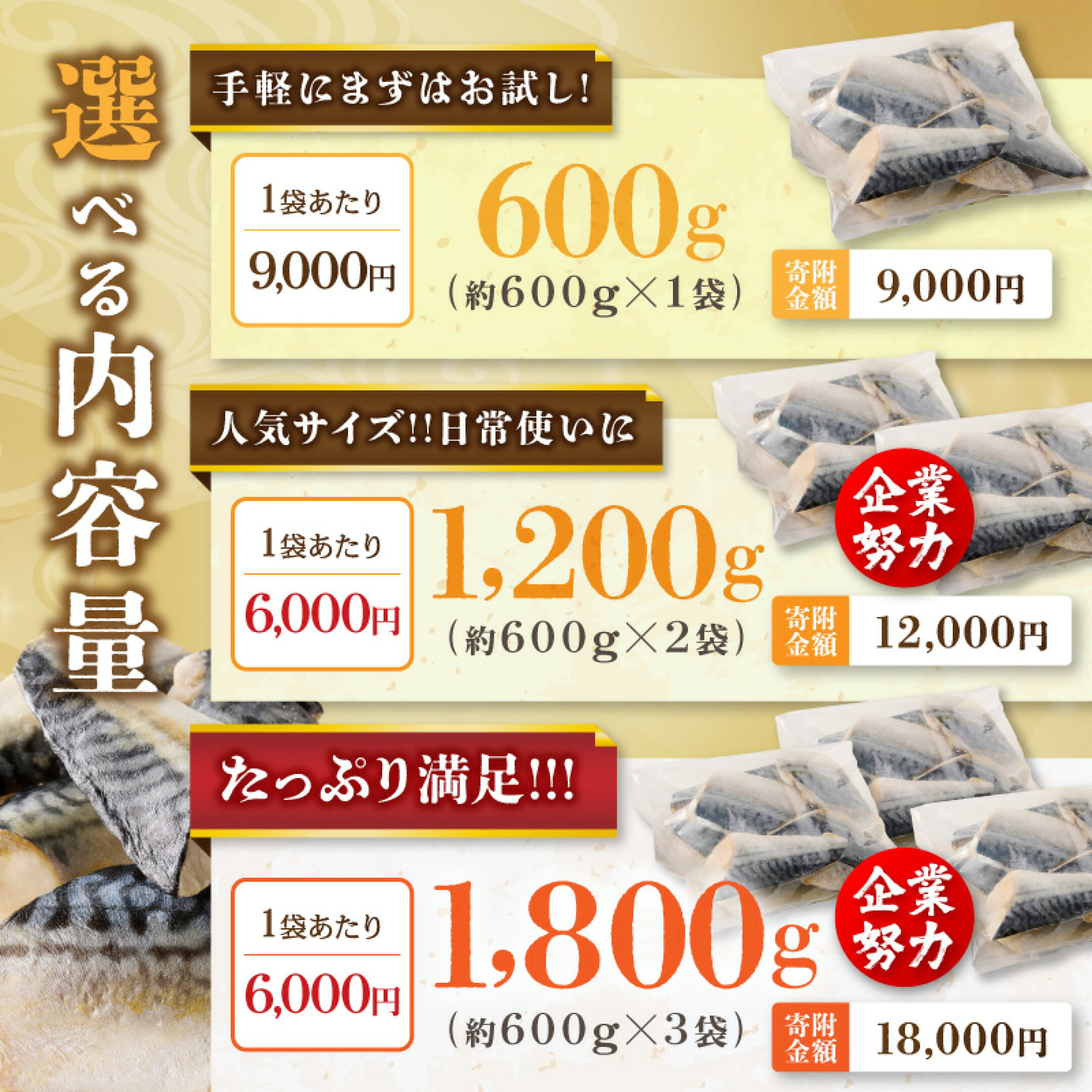 ふるさと納税 鯖 サバ さば 塩さば 塩鯖 切身 切り身 魚 魚介  冷凍 ふるさと納税 訳あり さば
