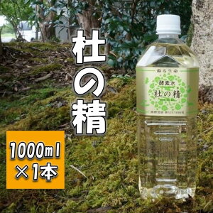 yӂ邳Ɣ[Łzm̐i1000mlj yf 엿 n L R_ yf yB1-014z