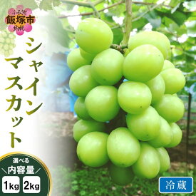 【ふるさと納税】＼内容量が選べる／シャインマスカット(ぶどう)＜2025年9月から発送開始分先行予約＞ 約1kg 約2kg ぶどう シャインマスカット スイーツ フルーツ 果物 ふるさと納税 マスカット