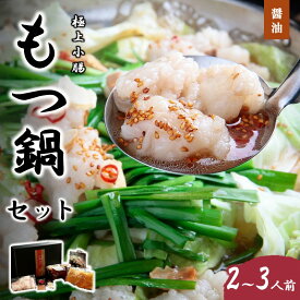 【ふるさと納税】 極上小腸もつ鍋セット（醤油）2～3人前【C-159】