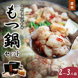 【ふるさと納税】九州産黒毛和牛もつ鍋（醤油）2～3人前 国産 牛 黒毛和牛 牛モツ 鍋 醤油 2人前 3人前【C-160】