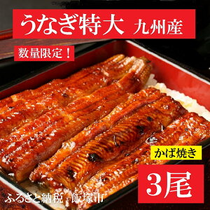 返礼品画像